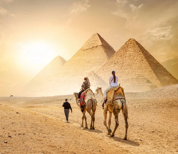 Giza Egito Cairo Esfinge Camelos Camelo Pirâmides Vista Deserto — Fotografia de Stock