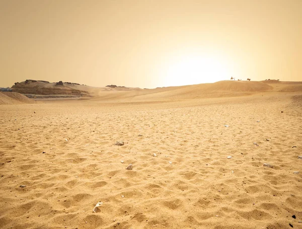 Homokdűnék Sivatagban Morokkó — Stock Fotó
