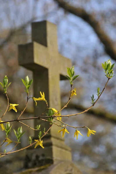 Iglesia Del Espíritu Santo Del Cementerio Ortodoxo —  Fotos de Stock