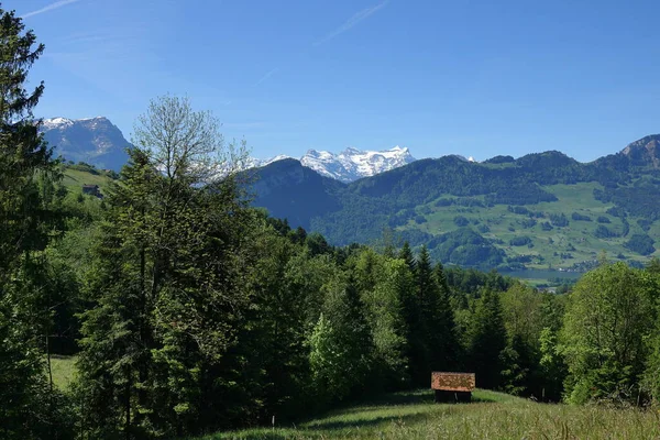 Krajina Kantonu Schwyz Švýcarsku Zelenými Loukami Vysokými Horami — Stock fotografie