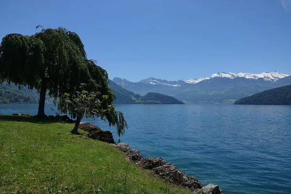Sviçre Deki Lucerne Gölü Çevresindeki Dağlarla — Stok fotoğraf