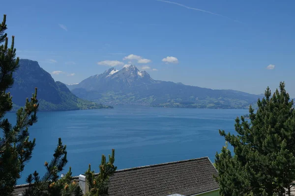 Λίμνη Λουκέρνη Στην Ελβετία Γύρω Βουνά — Φωτογραφία Αρχείου