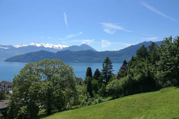 Lucerne Järvi Sveitsissä Ympäröivien Vuorten Kanssa — kuvapankkivalokuva