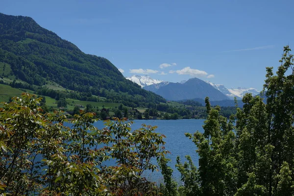 Sviçre Deki Lucerne Gölü Çevresindeki Dağlarla — Stok fotoğraf