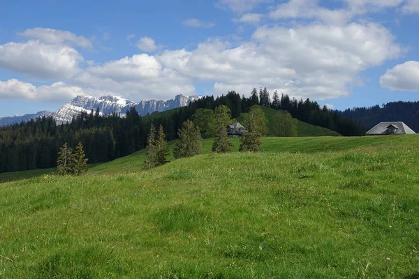 Τοπίο Στο Emmental Ελβετία Βουνά Και Αλπικά Λιβάδια — Φωτογραφία Αρχείου