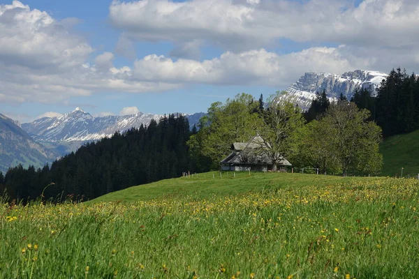Пейзаж Эмментале Швейцария Горами Альпийскими Лугами — стоковое фото