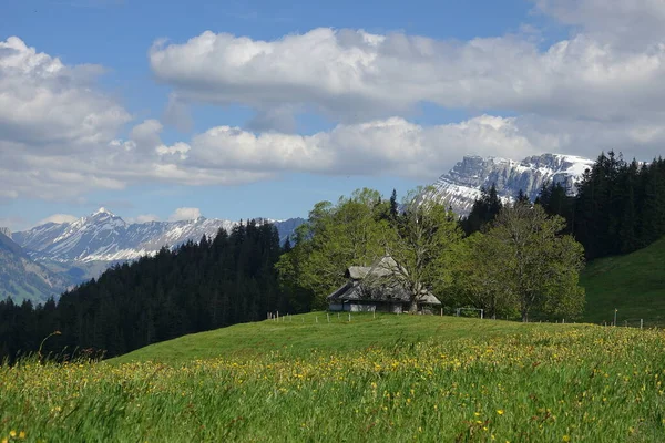 Tájkép Emmental Svájc Hegyekkel Alpesi Rétek — Stock Fotó