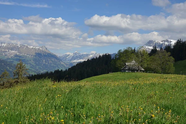 Paisagem Emmental Suíça Com Montanhas Prados Alpinos — Fotografia de Stock