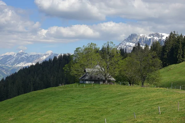 山と高山草原を持つ精神 スイスの風景 — ストック写真