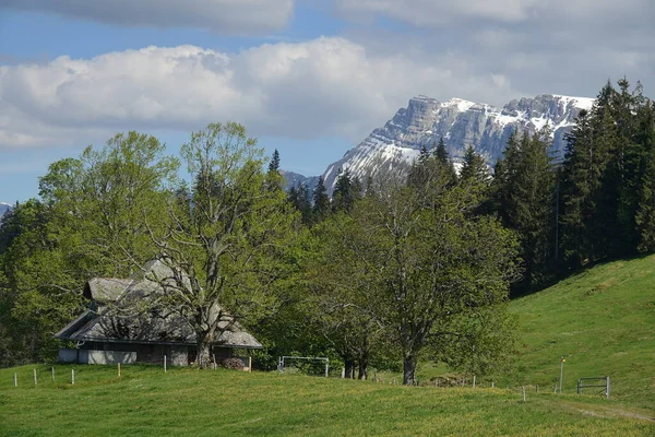 Tájkép Emmental Svájc Hegyekkel Alpesi Rétek — Stock Fotó