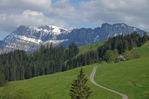 Tájkép Emmental Svájc Hegyekkel Alpesi Rétek — Stock Fotó