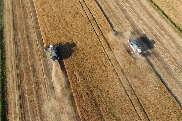 Aerial View Combine Harvester Working Agricultural Field — Stock Photo, Image