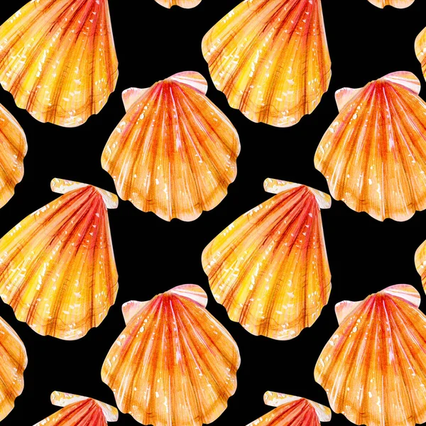 扇贝和海星的贝壳集 粉红色和珍珠蛤和藻类的母亲 世界海洋的性质 水下居民夏季 手绘插图 — 图库照片