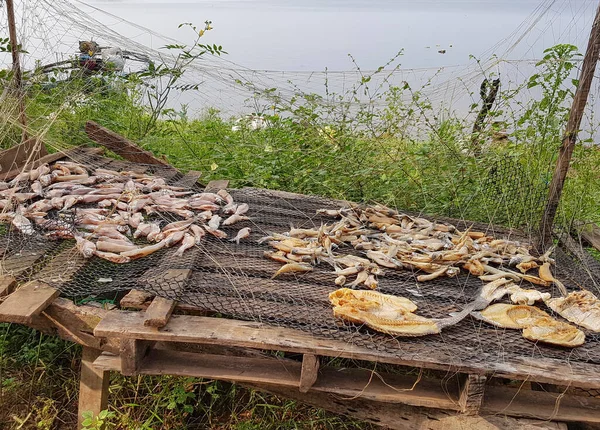 Tas Bois Chauffage Dans Forêt — Photo