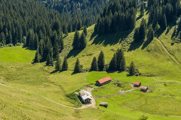 Alpesi Legelők Kunyhók Brauneck Területén — Stock Fotó