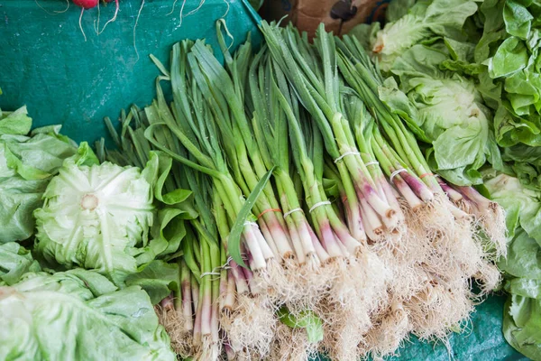 Spring Green Onion Ready Sell Local Farmers Market — Stock Photo, Image