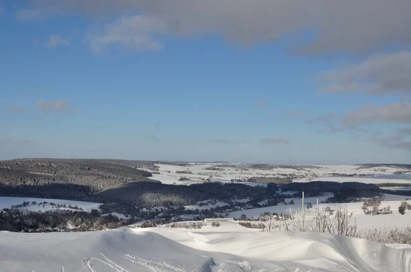 美丽的风景 白雪覆盖的树木 — 图库照片