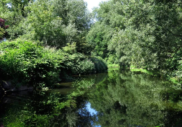 Lågland Ripariska Skogen Vid Ruhr Floden Nära Arnsberg Sommaren Som — Stockfoto