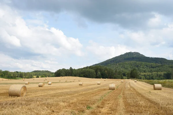 Las Balas Heno Campo Verano — Foto de Stock