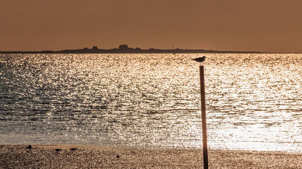 Sunset Beach — Stock Photo, Image