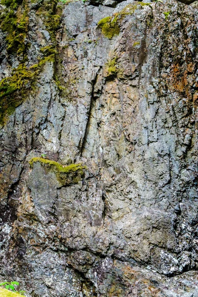 Пешие Прогулки Ручьи Водопады Скалы — стоковое фото