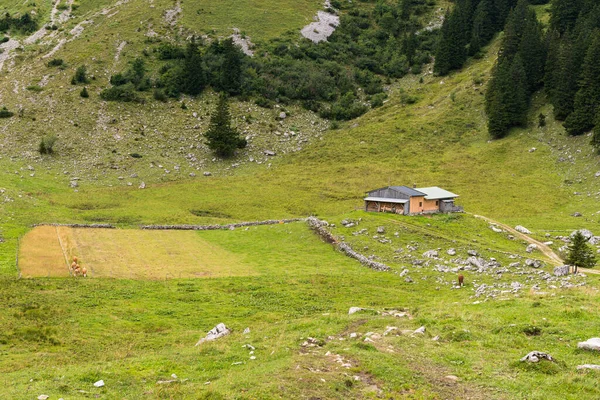 Ankelalm Mangfall Bergen Aan Voet Van Brecherspitz — Stockfoto