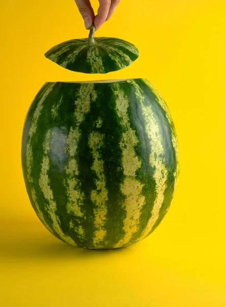 Große Reife Ovale Grüne Wassermelone Und Eine Weibliche Hand Hält — Stockfoto