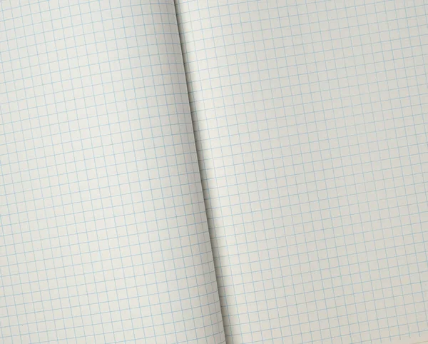在单元格中打开的学校笔记本的纹理 — 图库照片