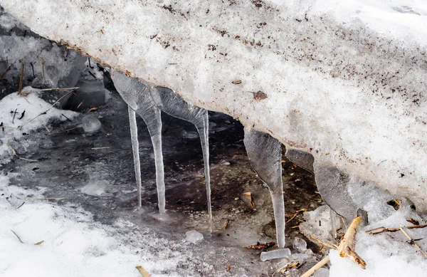 Detail Icicles Melting Dirty Slab Ice Snow — Stock Photo, Image