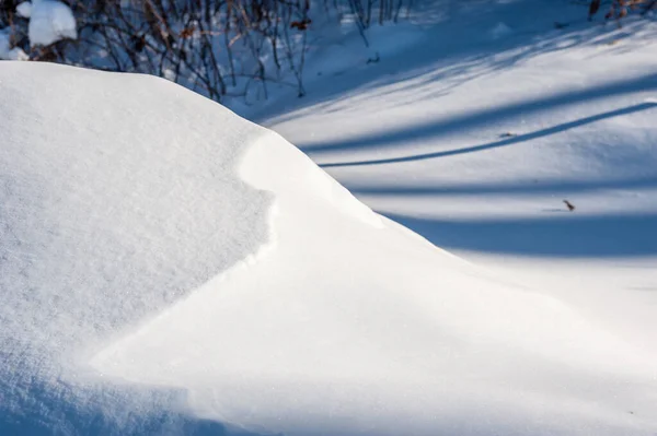 Snötäckta Träd Skogen — Stockfoto