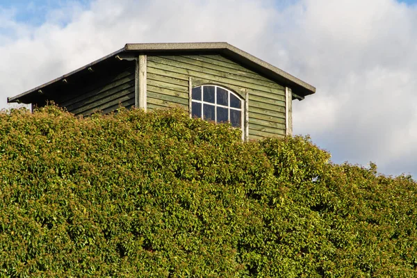 Verde Casa Nel Bosco — Foto Stock