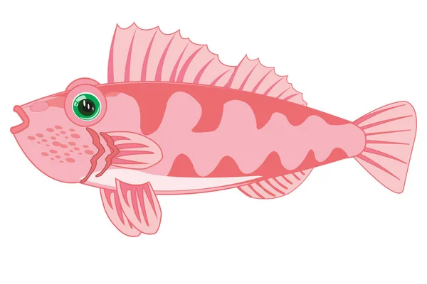 ภาพเวกเตอร ของการ นของปลาของท องทะเล — ภาพถ่ายสต็อก