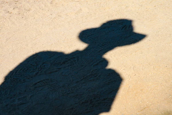 Silhouette Une Femme Avec Chien Sur Plage — Photo