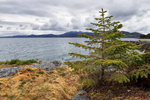 Vacker Utsikt Över Havet — Stockfoto