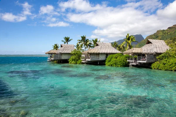 Belle Plage Tropicale Avec Palmiers Ciel Bleu — Photo