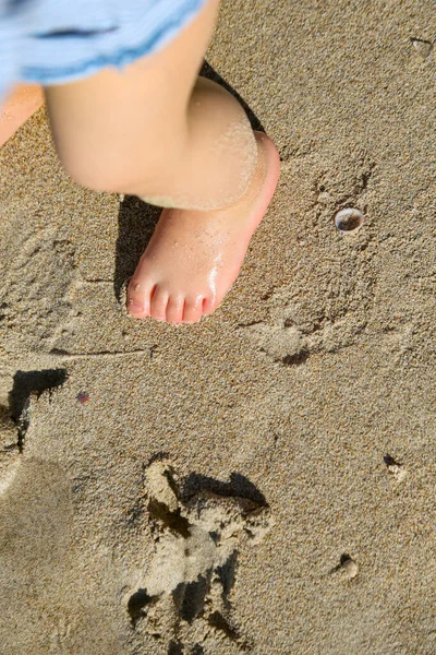 Feet Woman Swimsuit Beach Royalty Free Stock Images