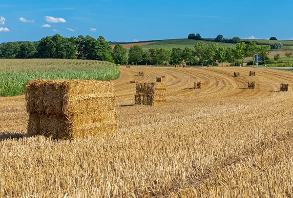 Fardos Heno Campo Baviera — Foto de Stock