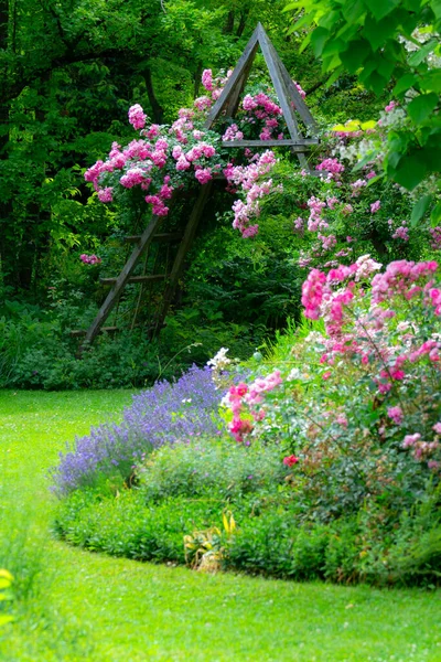 Hermoso Jardín Con Flores Parque —  Fotos de Stock