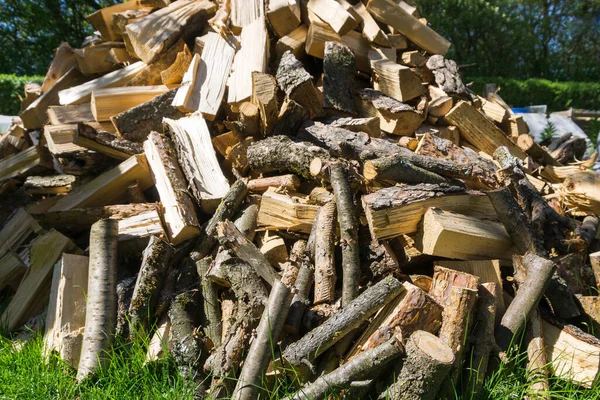Brennholzstapel Wald — Stockfoto