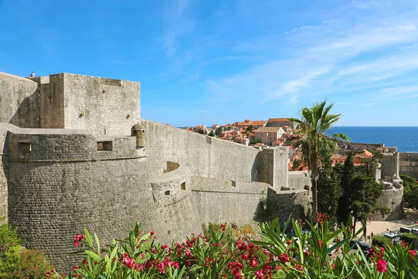 Historisk Arkitektur Gamla Staden Dubrovnik Berömda Staden Väggar Landmärke Kroatien — Stockfoto