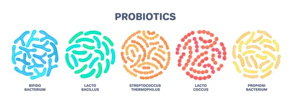 Probióticos Bactéria Láctica Bifidobacterium Lactobacillus Streptococcus Thermophilus Lactococcus Propionibacterium Microbiome — Fotografia de Stock