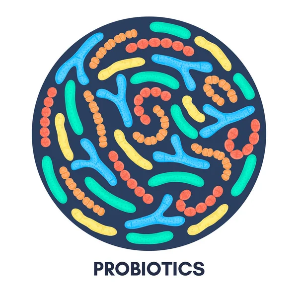 Probiotyki Wektorowe Okrągłym Kształcie Bifidobakterium Lactobacillus Streptococcus Thermophilus Lactococcus Propionibacterium — Zdjęcie stockowe