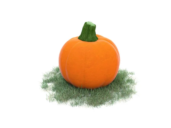 Citrouille Sur Prairie Herbe Automne Décoration Halloween Thanksgiving Illustration — Photo