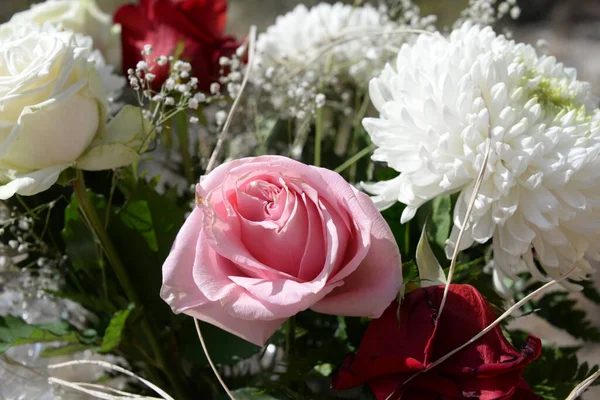 Belas Rosas Vaso Contexto Uma Flor — Fotografia de Stock