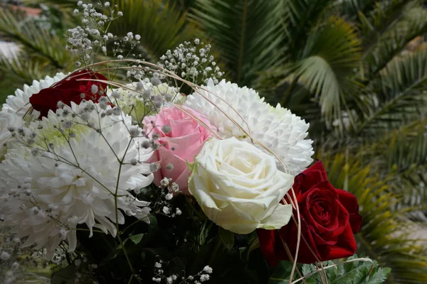 Beau Bouquet Fleurs Dans Jardin — Photo