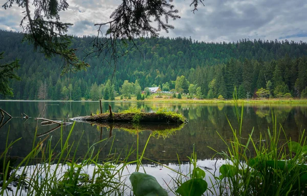 Маленькое Озеро Арбер Баварском Лесу — стоковое фото