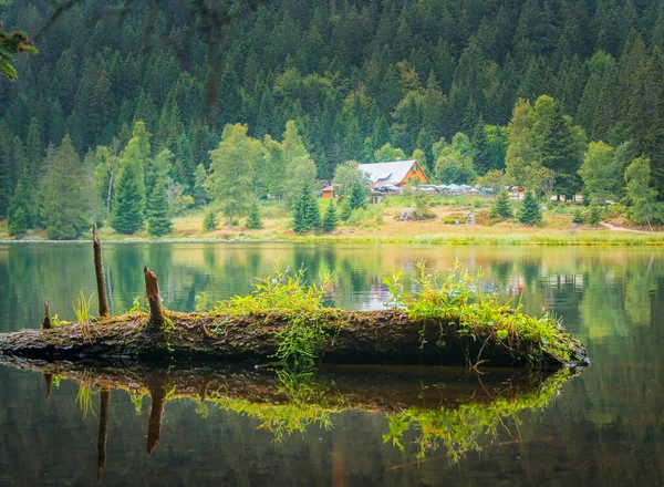 Pequeno Lago Arber Floresta Baviera — Fotografia de Stock