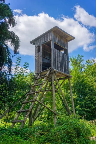 Starý Dřevěný Dům Lese — Stock fotografie