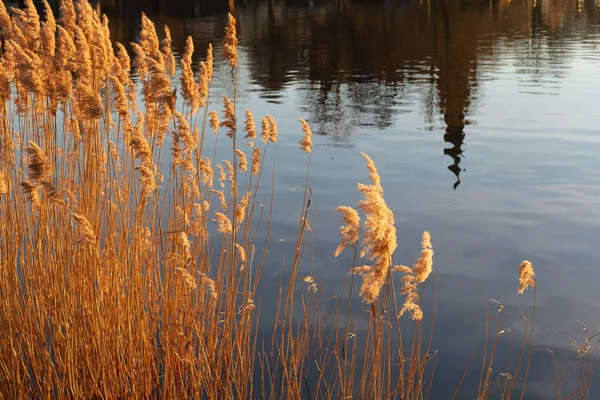 Prachtig Landschap Met Een Meer Achtergrond — Stockfoto