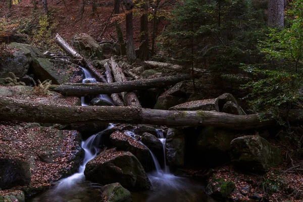 Esposizione Temporale Fiume Chiamato Ilsefaelle Nella Regione Tedesca Harz Autunno — Foto Stock